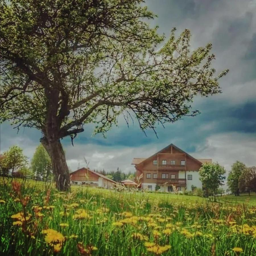 Biobauernhof Brandlhof Διαμέρισμα Ramsau am Dachstein Εξωτερικό φωτογραφία