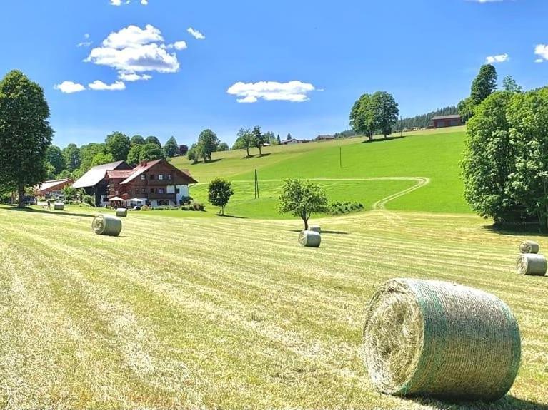 Biobauernhof Brandlhof Διαμέρισμα Ramsau am Dachstein Εξωτερικό φωτογραφία