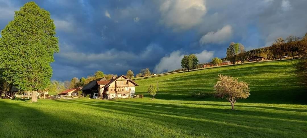 Biobauernhof Brandlhof Διαμέρισμα Ramsau am Dachstein Εξωτερικό φωτογραφία