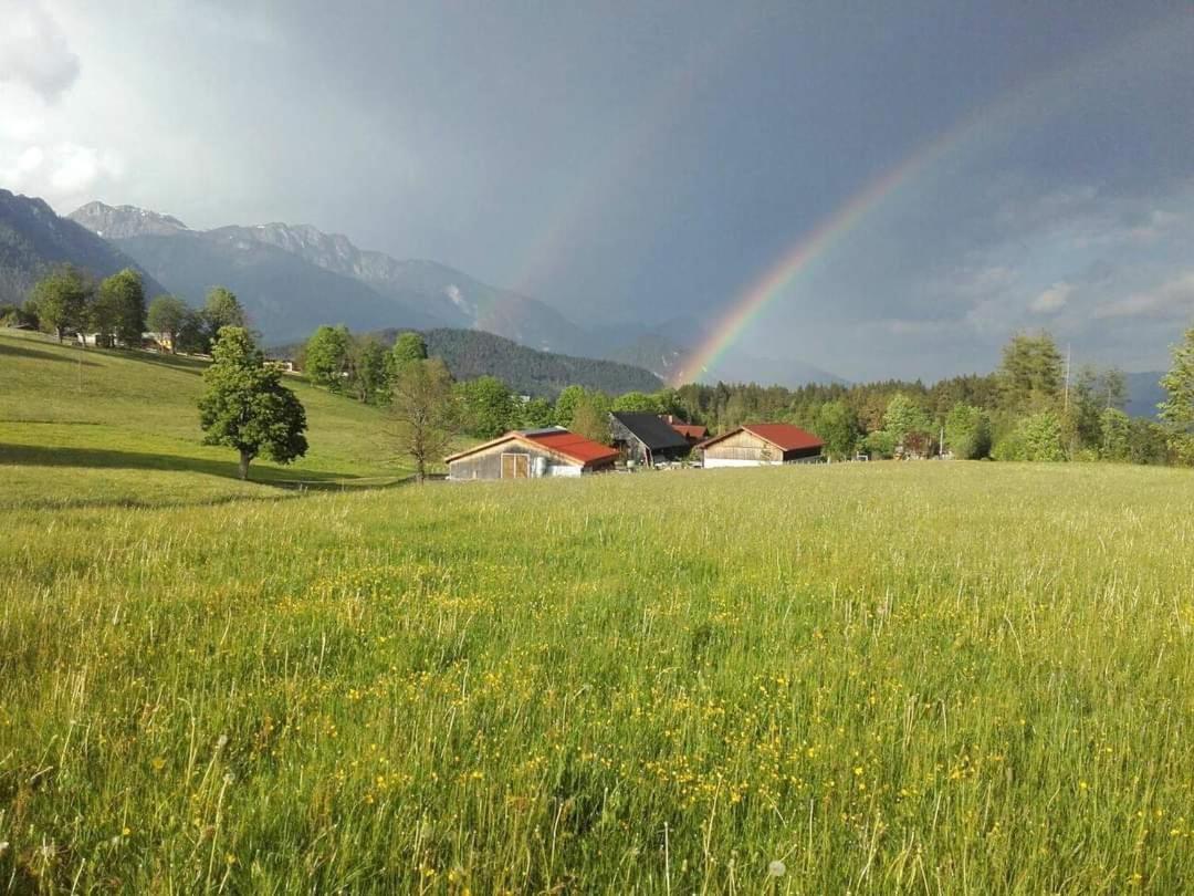 Biobauernhof Brandlhof Διαμέρισμα Ramsau am Dachstein Εξωτερικό φωτογραφία
