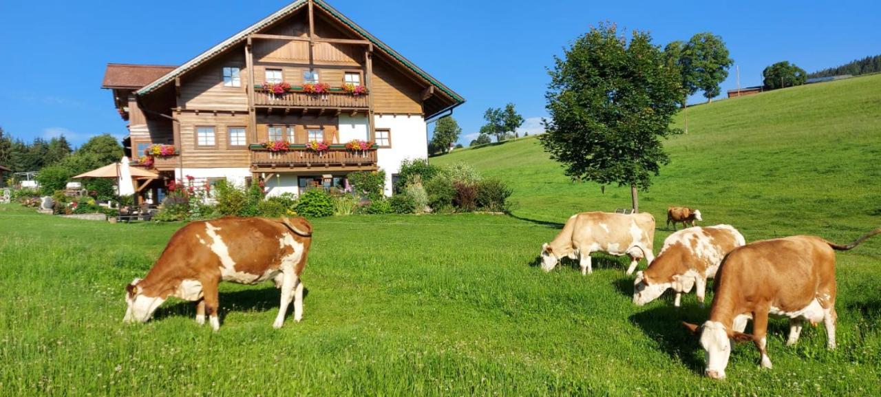 Biobauernhof Brandlhof Διαμέρισμα Ramsau am Dachstein Εξωτερικό φωτογραφία