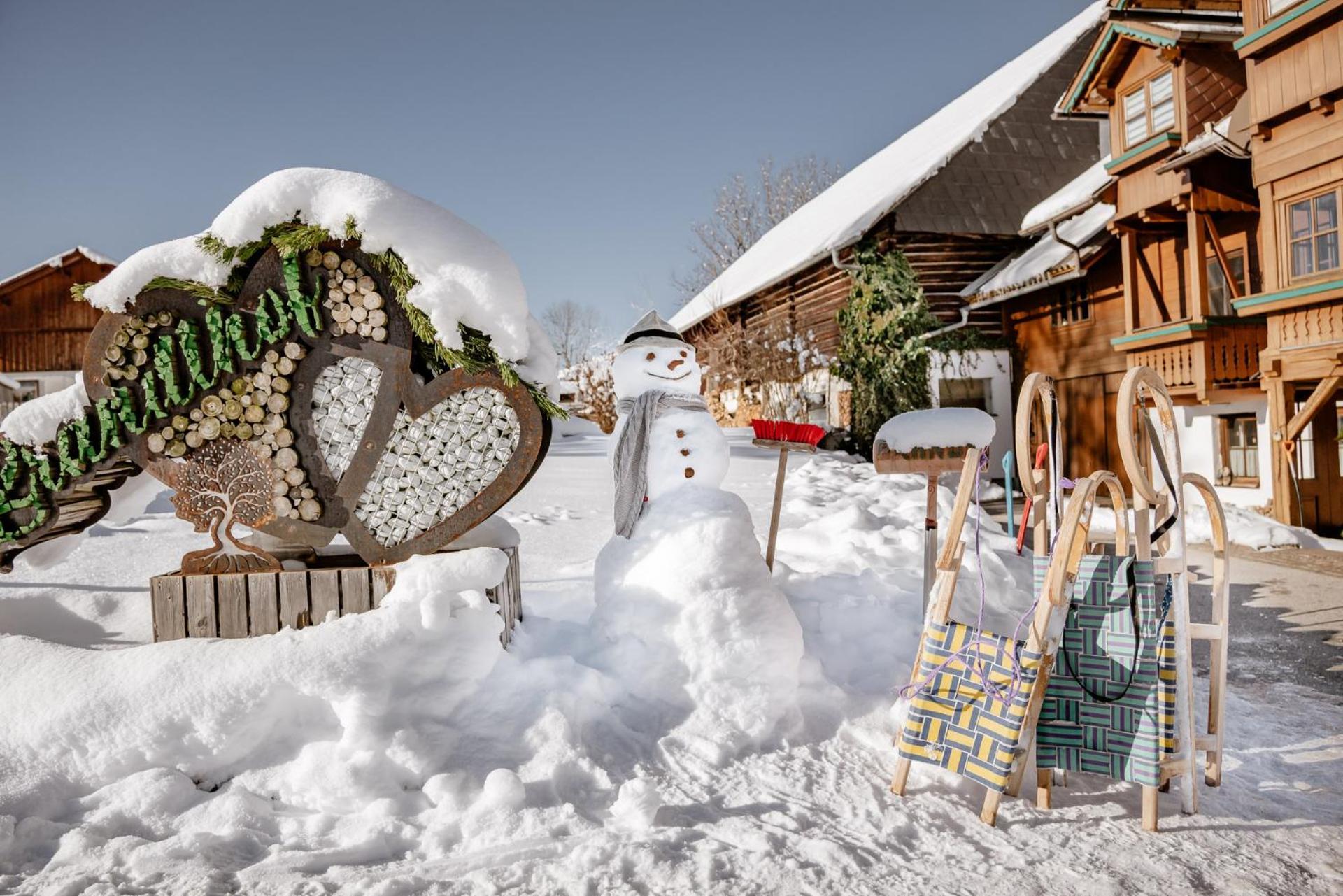 Biobauernhof Brandlhof Διαμέρισμα Ramsau am Dachstein Εξωτερικό φωτογραφία