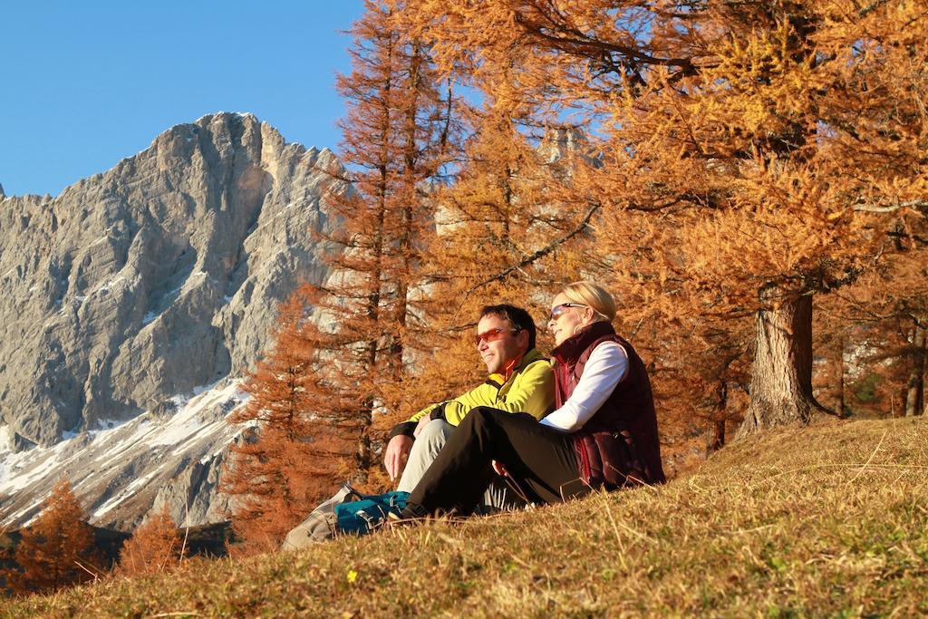 Biobauernhof Brandlhof Διαμέρισμα Ramsau am Dachstein Εξωτερικό φωτογραφία